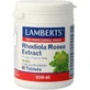 Lamberts Rhodiola Rosea Extrakt 60 Dateien