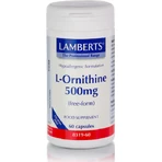 Lamberts L-Ornitina 500mg 60 Cápsulas sin sabor