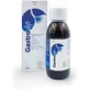 Erbozeta Gastrodep Spezial-Nahrungsergänzungsmittel 150ml