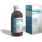Erbozeta Gastrodep Spezial-Nahrungsergänzungsmittel 150ml
