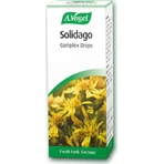 A.Vogel Solidago Complex Druppels Voedingssupplement Speciaal 50ml