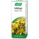 A.Vogel Solidago Complex Druppels Voedingssupplement Speciaal 50ml