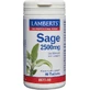 Lamberts Salvia 2500mg Suplemento Menopausia 90 comp.