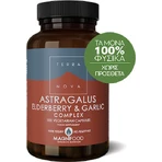 TerraNova Astragalus Holunderbeere & Knoblauch Immunstärkendes Supplement 100 pflanzliche Kapseln