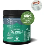 TerraNova Child Sneaky Greens Super Shake Multivitamin for Energy, Immune Boost & Antioxidant Action 180gr