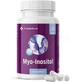 FutuNatura Myo-Inositol 500mg Complément Alimentaire Spécial Spécial 90 gélules