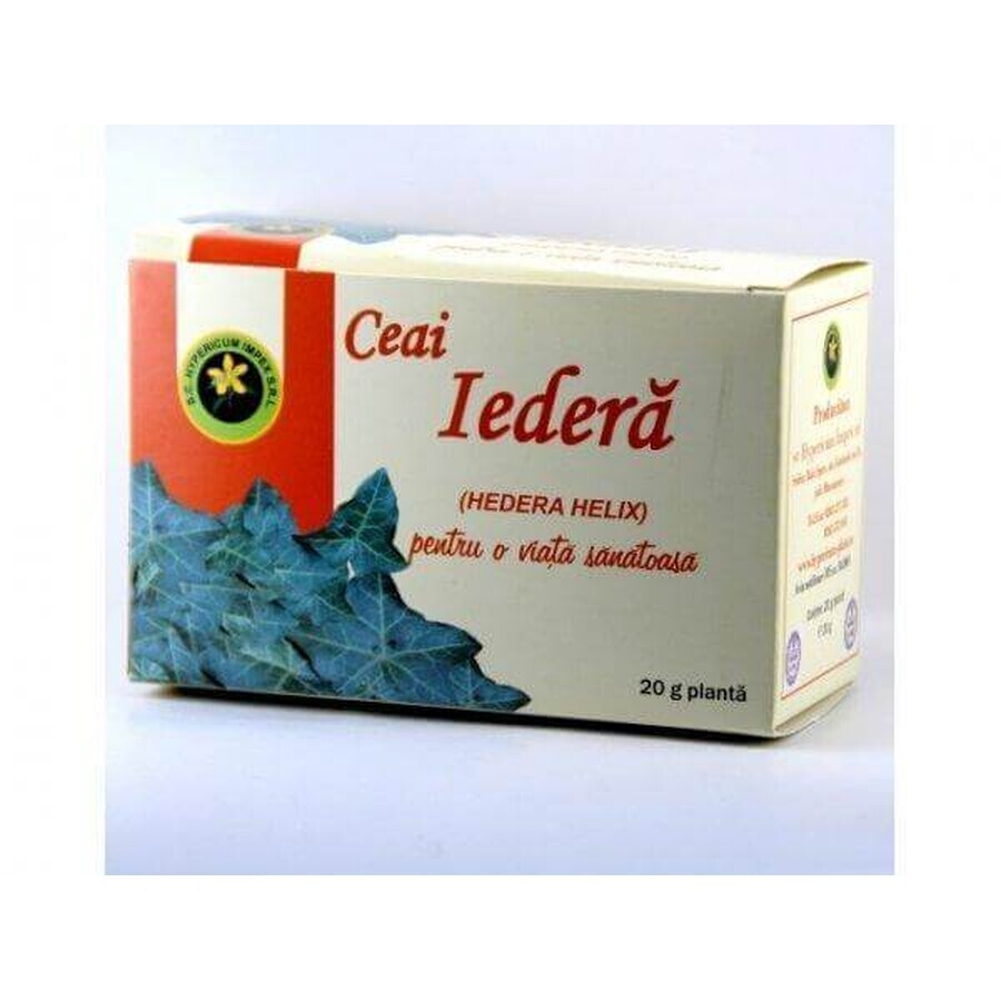Buy Ivy Tea, 20 g, Hypericum Ivy Tea, 20 g, Hypericum