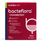 Olonea Bacteflora Arándano Probiótico 10 cápsulas vegetales