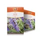 Isop grasthee, 50 g, Stef Mar Valcea