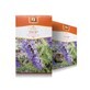 Isop-Gras-Tee, 50 g, Stef Mar Valcea