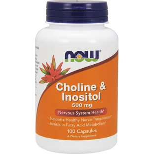 Now Foods Choline & Inositol 500mg Anxiety Supplement 100 caps