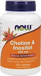 Now Foods Choline &amp; Inositol 500mg Anxiety Supplement 100 caps
