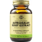 Solgar Astragalus-Wurzel-Extrakt 60 x 1 vegetarische Kapseln