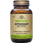 Solgar Astragalus-Wurzel-Extrakt 60 x 1 vegetarische Kapseln
