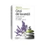 Lavender tea, 20 sachets, Alevia