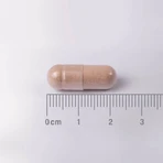 Complex L-Theanine & Rozemarijn 200mg 60 tabletten Rozemarijn