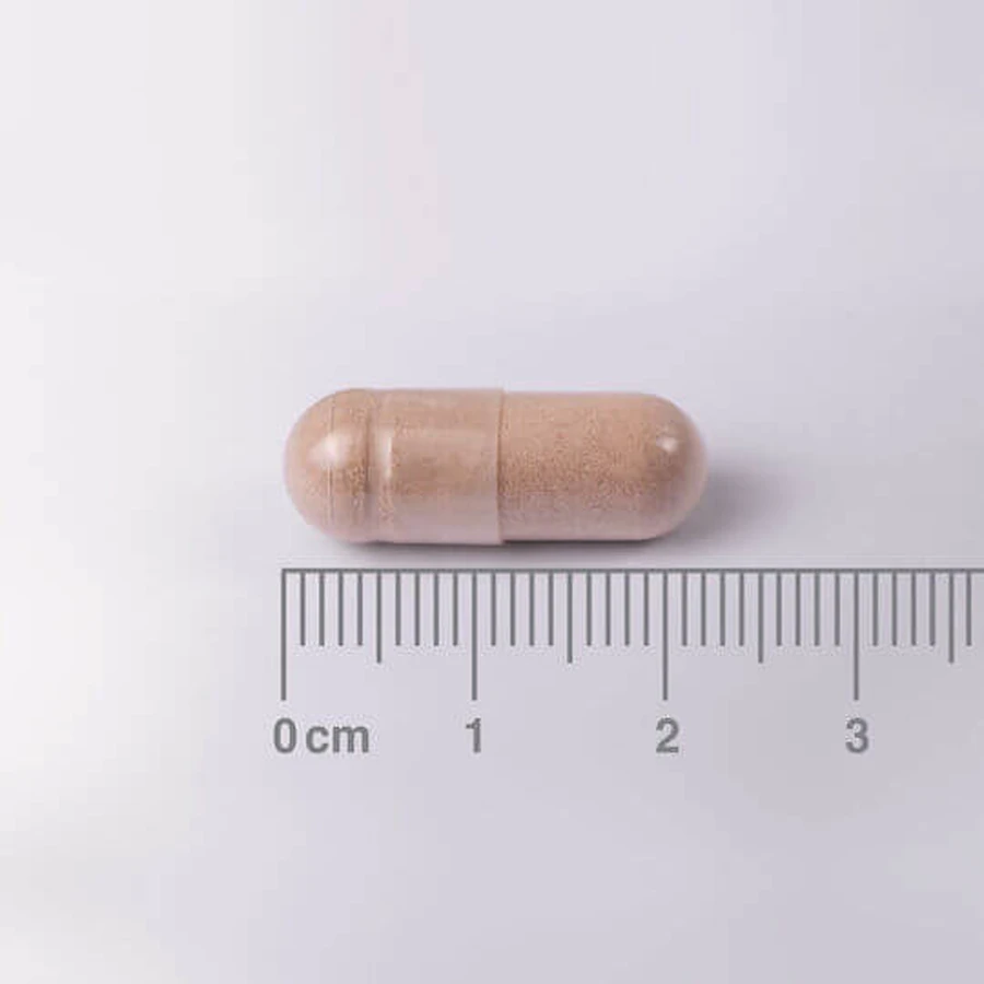 Complex L-Theanine & Rozemarijn 200mg 60 tabletten Rozemarijn