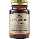 Solgar Vitamine B6 voor de gezondheid van het zenuwstelsel 100mg 100 veget 100 capsules