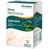 Himalaya Wellness Baldrian Baldrian 60 Tabletten