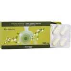 PharmaQ MastihaTherapy 30 capsules