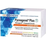 Viogenesis Pycnogenol Plus Spezielles Nahrungsergänzungsmittel 30 pflanzliche Kapseln