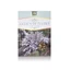 Té de liquen de piedra, 50 g, Stef Mar Valcea
