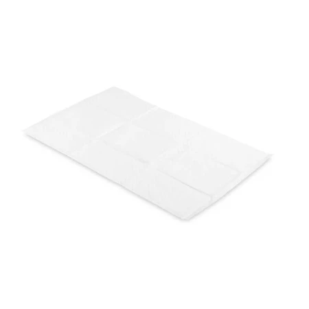 Compresas higiénicas desechables 60X90 Sm (10 uds.)