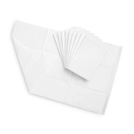Compresas higiénicas desechables 60X90 Sm (10 uds.)