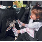 Car Seat Protector And Organizer 3B1 Tineo