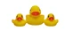 Bath Toys Ducklings Earthsmart Vital Baby