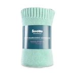 Bamboo and cotton mint blanket 100X80