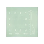 Muselinova Fotomatte Giraffe Mint 120x120cm
