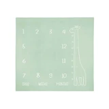 Muselinova Fotomatte Giraffe Mint 120x120cm