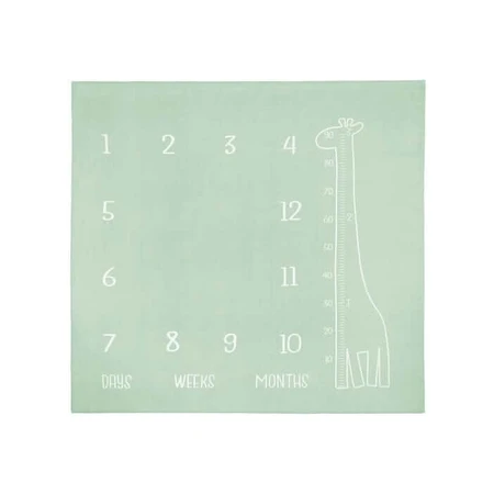 Muselinova Fotomatte Giraffe Mint 120x120cm