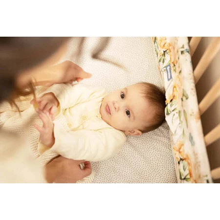 Bumper Dream Cot Cover