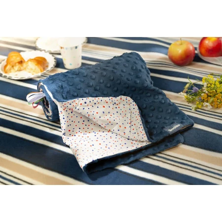 Minky Blanket Graphite