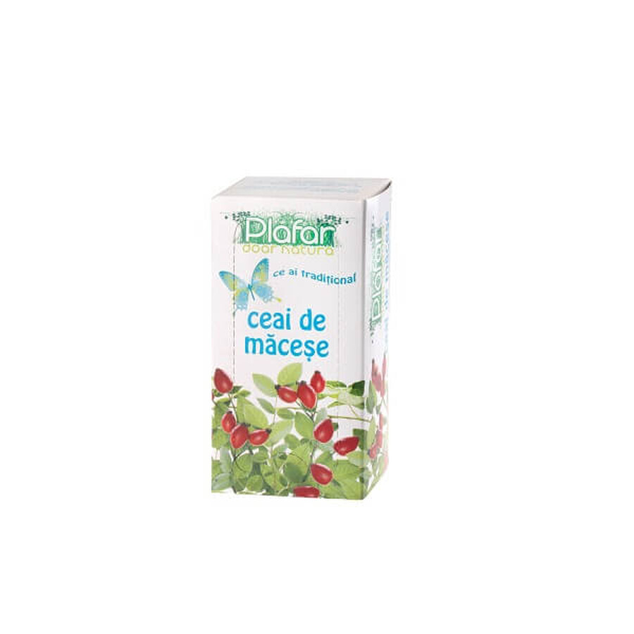 Buy Macese Tea, 20 doses, Plafar Macese Tea, 20 doses, Plafar