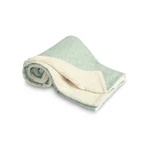 Manta Bordada 80X100 Peluche Menta Claro