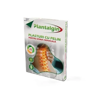 Pelin Pflaster für Nackenschmerzen, 6 Stück, Plantalgin
