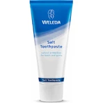 Weleda Dentifrice au sel sans fluor contre la gingivite et les caries 75ml
