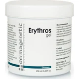 Dermagenetic Erythros Body Slimming Gel 250ml