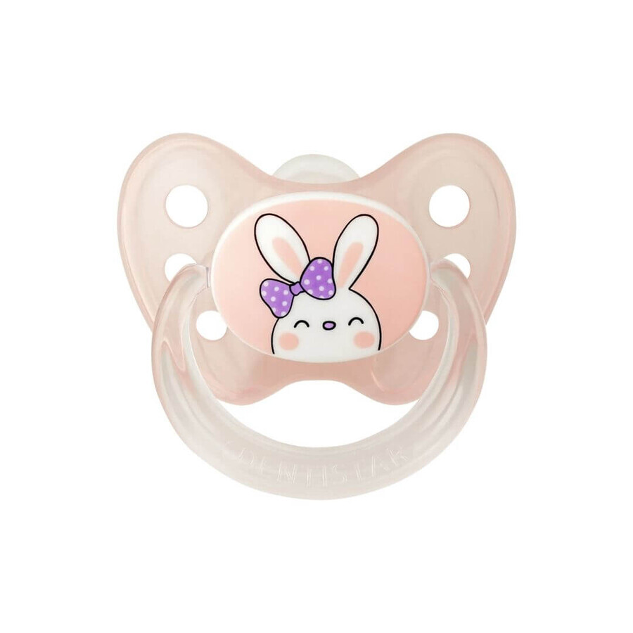 Comprar Set de 2 chupetes de anillo de silicona tamaño 1 y caja de esterilización, Dentistar Set de 2 chupetes de anillo de silicona tamaño 1 y caja de esterilización, Dentistar