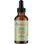 Mielle Organics Rozemarijn Munt Haarolie tegen gespleten haarpunten 59ml