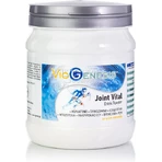 Viogenesis Joint Vital con Ácido Hialurónico y Vitamina C 375gr