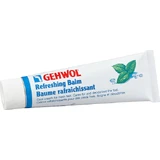 Gehwol Verfrissende Deodorant Voetschimmelbalsem 75ml