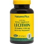 Nature's Plus Lecithin 1200mg mit Geschmack Unaromatisiert 90 Softgels