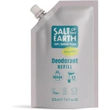 Salt of the Earth Salt Earth Salt Earth Salt Earth Roll-On Deodorant 225ml