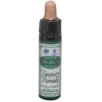 Ainsworths Recovery Remedy Gotas de Esencia Floral 10ml