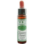 Ainsworths Recovery Remedy Gotas de Esencia Floral 10ml