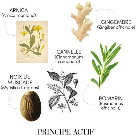 Medavita Hair ampoule pour la perte de cheveux 13x6ml